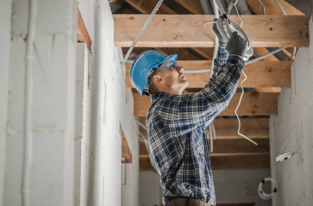 Best Electric Panel Repair  in Merton, WI